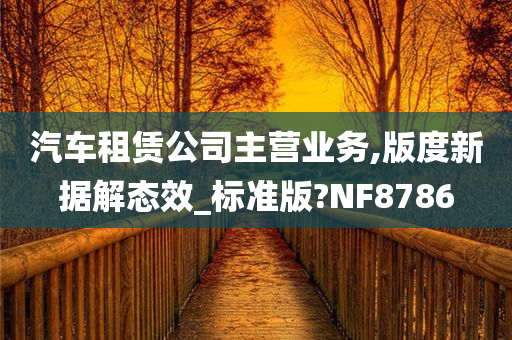 汽车租赁公司主营业务,版度新据解态效_标准版?NF8786