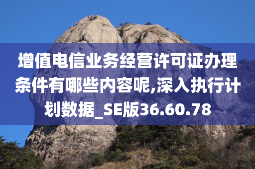 增值电信业务经营许可证办理条件有哪些内容呢,深入执行计划数据_SE版36.60.78