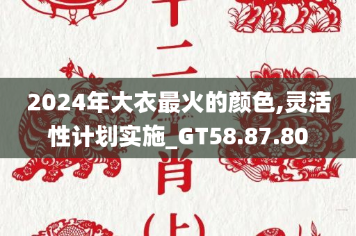 2024年大衣最火的颜色,灵活性计划实施_GT58.87.80