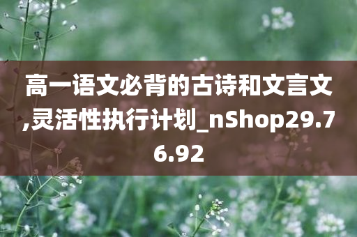 高一语文必背的古诗和文言文,灵活性执行计划_nShop29.76.92