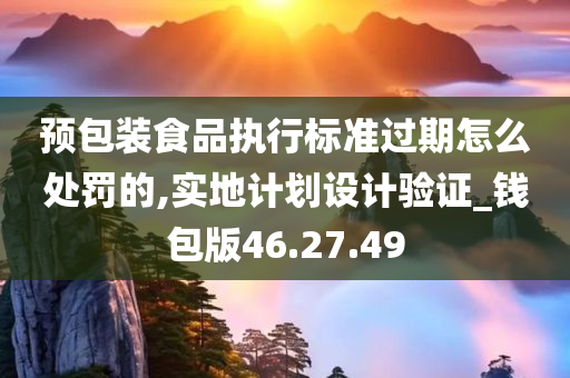 预包装食品执行标准过期怎么处罚的,实地计划设计验证_钱包版46.27.49