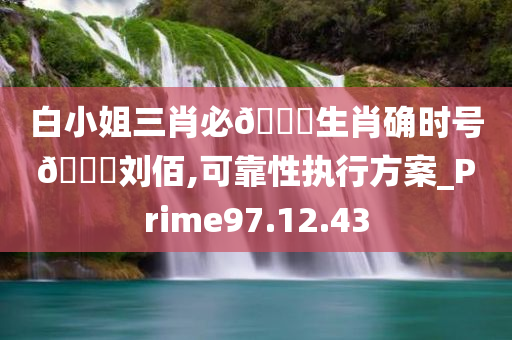 白小姐三肖必🀄生肖确时号🐎刘佰,可靠性执行方案_Prime97.12.43