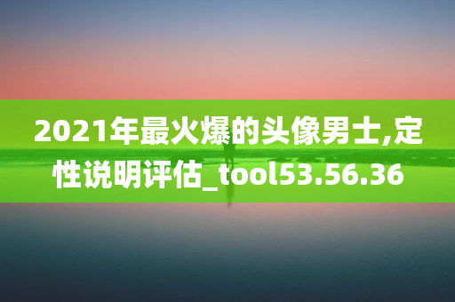 2021年最火爆的头像男士,定性说明评估_tool53.56.36