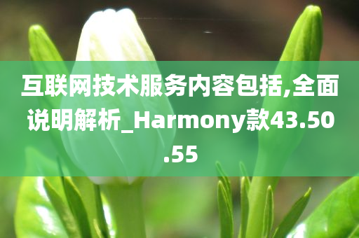 互联网技术服务内容包括,全面说明解析_Harmony款43.50.55