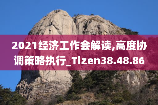 2021经济工作会解读,高度协调策略执行_Tizen38.48.86