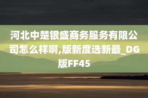 河北中楚银盛商务服务有限公司怎么样啊,版新度选新最_DG版FF45