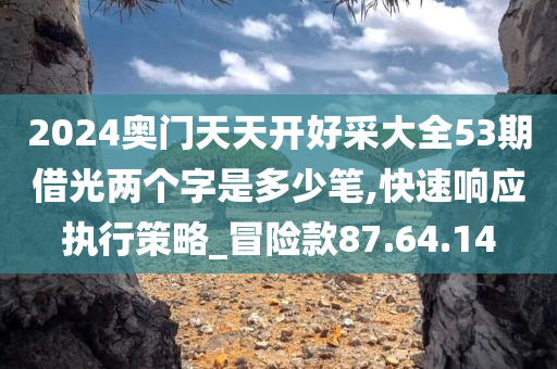 2024奥门天天开好采大全53期借光两个字是多少笔,快速响应执行策略_冒险款87.64.14