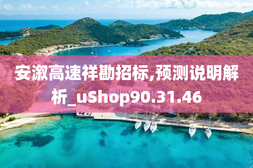 安溆高速祥勘招标,预测说明解析_uShop90.31.46