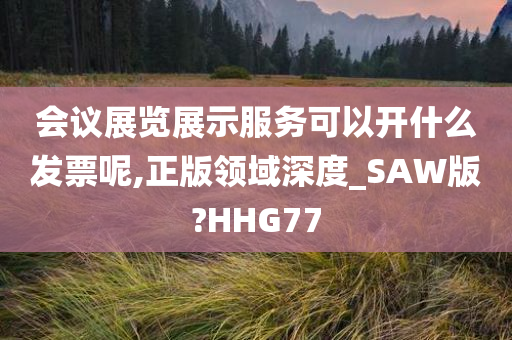 会议展览展示服务可以开什么发票呢,正版领域深度_SAW版?HHG77