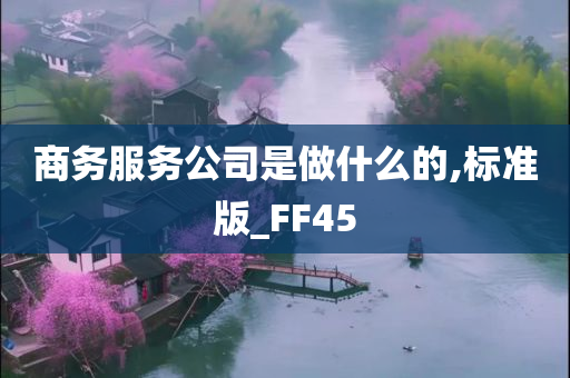 商务服务公司是做什么的,标准版_FF45