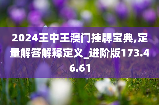 2024王中王澳门挂牌宝典,定量解答解释定义_进阶版173.46.61