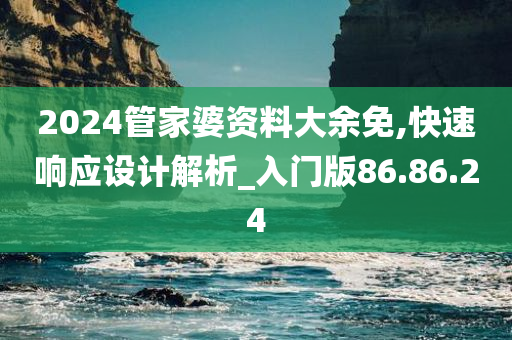 2024管家婆资料大余免,快速响应设计解析_入门版86.86.24