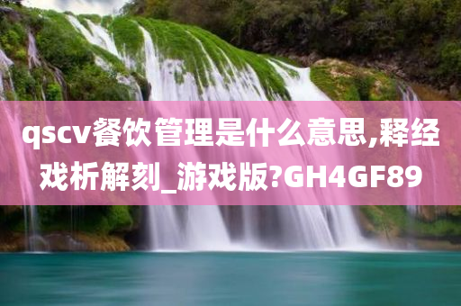 qscv餐饮管理是什么意思,释经戏析解刻_游戏版?GH4GF89