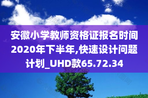 安徽小学教师资格证报名时间2020年下半年,快速设计问题计划_UHD款65.72.34