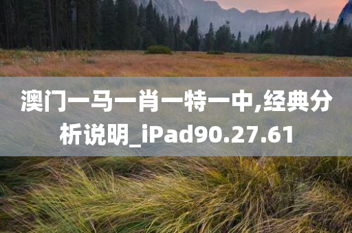 澳门一马一肖一特一中,经典分析说明_iPad90.27.61