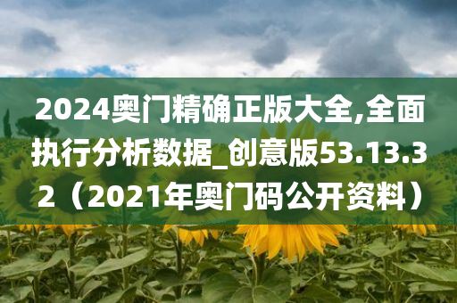 2024奥门精确正版大全,全面执行分析数据_创意版53.13.32（2021年奥门码公开资料）