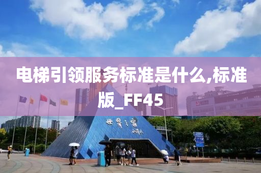 电梯引领服务标准是什么,标准版_FF45