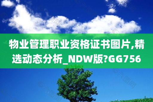 物业管理职业资格证书图片,精选动态分析_NDW版?GG756