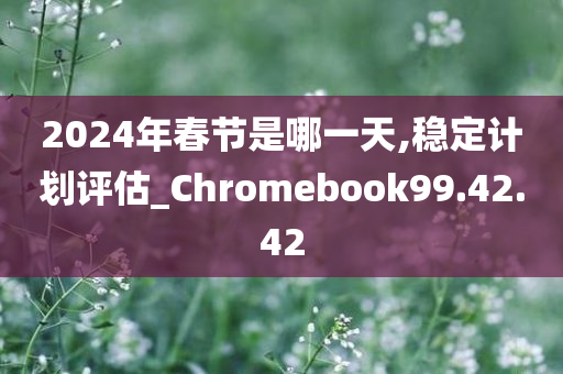 2024年春节是哪一天,稳定计划评估_Chromebook99.42.42