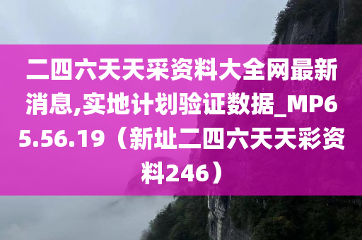 二四六天天采资料大全网最新消息,实地计划验证数据_MP65.56.19（新址二四六天天彩资料246）