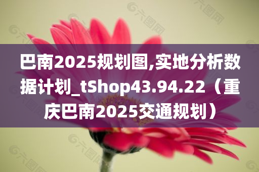 巴南2025规划图,实地分析数据计划_tShop43.94.22（重庆巴南2025交通规划）