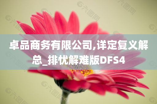 卓品商务有限公司,详定复义解总_排忧解难版DFS4