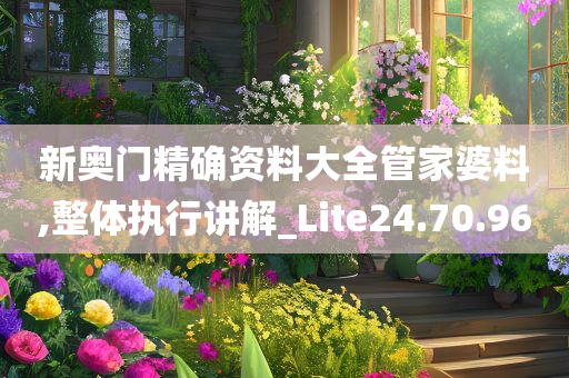 新奥门精确资料大全管家婆料,整体执行讲解_Lite24.70.96