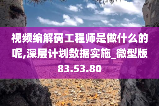 视频编解码工程师是做什么的呢,深层计划数据实施_微型版83.53.80