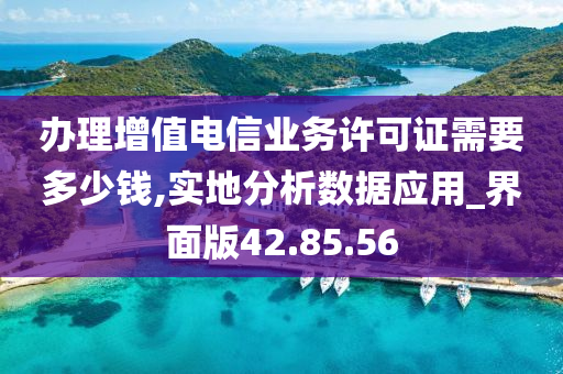 办理增值电信业务许可证需要多少钱,实地分析数据应用_界面版42.85.56