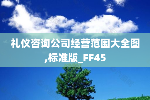 礼仪咨询公司经营范围大全图,标准版_FF45