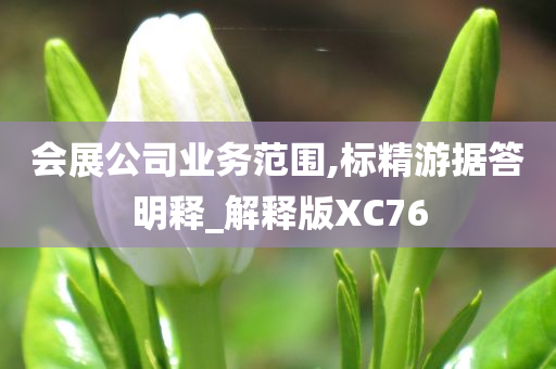 会展公司业务范围,标精游据答明释_解释版XC76