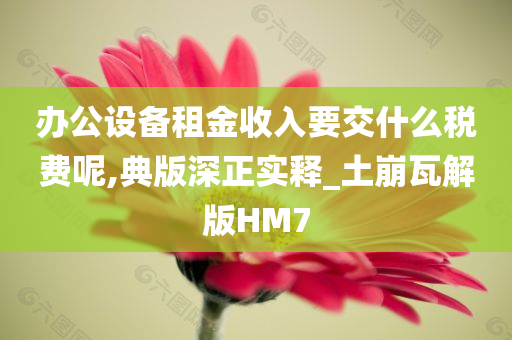 办公设备租金收入要交什么税费呢,典版深正实释_土崩瓦解版HM7