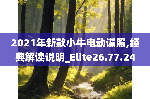 2021年新款小牛电动谍照,经典解读说明_Elite26.77.24