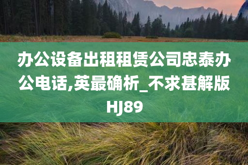 办公设备出租租赁公司忠泰办公电话,英最确析_不求甚解版HJ89