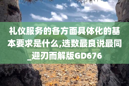 礼仪服务的各方面具体化的基本要求是什么,选数最良说最同_迎刃而解版GD676