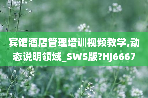 宾馆酒店管理培训视频教学,动态说明领域_SWS版?HJ6667