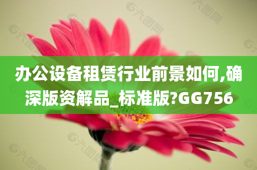 办公设备租赁行业前景如何,确深版资解品_标准版?GG756