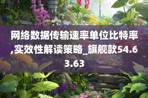 网络数据传输速率单位比特率,实效性解读策略_旗舰款54.63.63