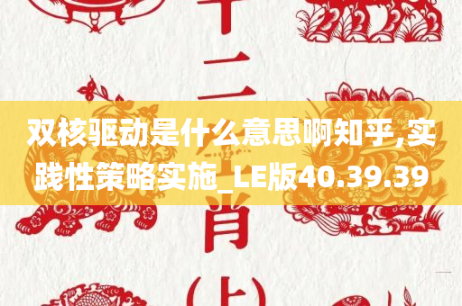 双核驱动是什么意思啊知乎,实践性策略实施_LE版40.39.39