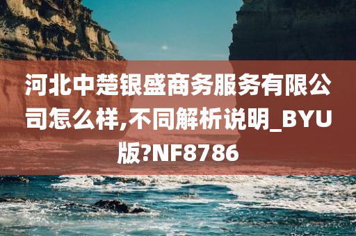 河北中楚银盛商务服务有限公司怎么样,不同解析说明_BYU版?NF8786