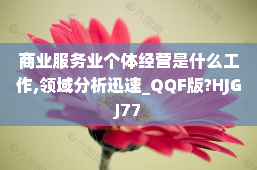 商业服务业个体经营是什么工作,领域分析迅速_QQF版?HJGJ77