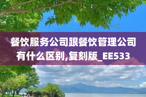 餐饮服务公司跟餐饮管理公司有什么区别,复刻版_EE533