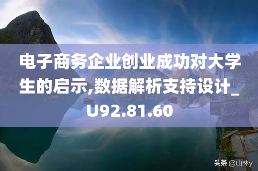 电子商务企业创业成功对大学生的启示,数据解析支持设计_U92.81.60