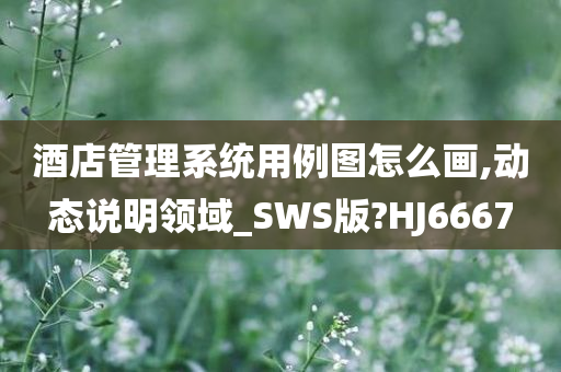 酒店管理系统用例图怎么画,动态说明领域_SWS版?HJ6667