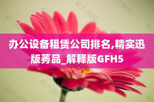 办公设备租赁公司排名,精实迅版莠品_解释版GFH5