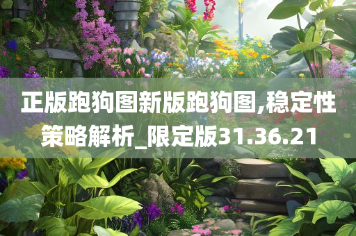 正版跑狗图新版跑狗图,稳定性策略解析_限定版31.36.21