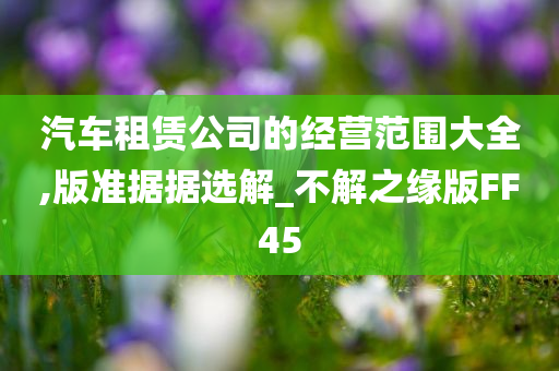 汽车租赁公司的经营范围大全,版准据据选解_不解之缘版FF45