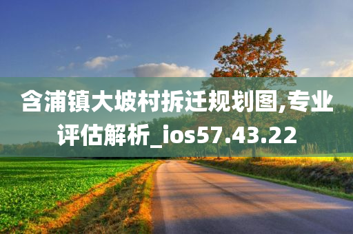 含浦镇大坡村拆迁规划图,专业评估解析_ios57.43.22