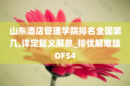 山东酒店管理学院排名全国第几,详定复义解总_排忧解难版DFS4