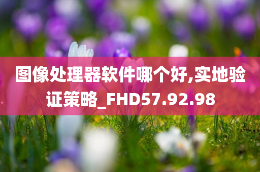 图像处理器软件哪个好,实地验证策略_FHD57.92.98